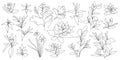 Vector set of hand drawn, single continuous line flowers, leaves. Art floral elements. Use for t-shirt prints, logos Royalty Free Stock Photo