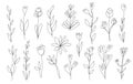 Vector set of hand drawn, single continuous line flowers, leaves. Art floral elements. Use for t-shirt prints, logos, cosmetics Royalty Free Stock Photo