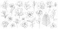 Vector set of hand drawn, single continuous line flowers, plants, leaves. Art floral elements. Use for t-shirt prints Royalty Free Stock Photo