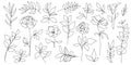 Vector set of hand drawn, single continuous line flowers, plants, leaves. Art floral elements. Use for t-shirt prints Royalty Free Stock Photo