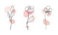 Vector set of hand drawn, single continuous line flowers - roses , leaves sketch. Art floral elements. Use for t-shirt Royalty Free Stock Photo