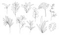 Vector set of hand drawn, single continuous line flowers. Tropical, monstera, palm leaves. Art floral elements. Use for