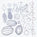 Vector Set of Hand Drawn Sketch Fruits Royalty Free Stock Photo