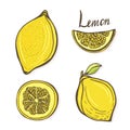 Vector set of hand drawn sketch lemons. yellow fruits in vector. Creative stickes