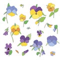 Vector set of hand drawn spring bright colorful pansies flowers with leaves and stems Royalty Free Stock Photo