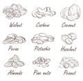 Vector set of hand sketched nuts on white background in hand drawn style: hazelnut, almonds, peanuts Royalty Free Stock Photo