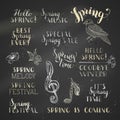 Vector set of hand-written chalk spring lettering on blackboard background. Royalty Free Stock Photo