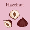 Set of hazelnuts isolated on pink background. Vector illustration.