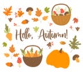 Vector set Hello, Autumn. Autumn harvest, wicker basket with forest mushrooms and carrots, edible mushroom and acorn, pumpkin, and