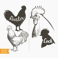 Vector set Hen and Rooster. Black and white silhouette and engraving sketch. Male and female chickens head. Vintage