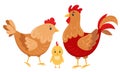 Vector set of hen, rooster, chick isolated on white background. Flat vector illustration in cartoon style for kids Royalty Free Stock Photo