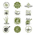 Vector set of herbs and spices labels, badges Royalty Free Stock Photo