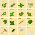 Vector set of herbs and spices labels