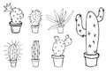 Vector set of home cactus and aloe in pot doodle sketch drawn