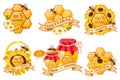 Vector set of honey emblems.