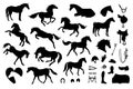 Vector set of horse and equestrian equipment Royalty Free Stock Photo