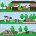 Vector set of horse riding interior flat posters, banners Royalty Free Stock Photo