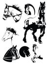 Vector set of horse silhouettes poster illustration template Royalty Free Stock Photo