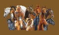 Vector set of horses Royalty Free Stock Photo