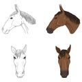 Vector Set of Horses Head Illustrations