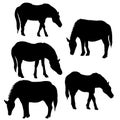 Vector set of horses Royalty Free Stock Photo