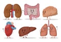 Vector set of human internal organs illustrations. Heart, lungs, kidneys, liver, brain, stomach. Smiling characters. Royalty Free Stock Photo