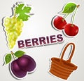 Vector set of icons/strikers: Berries