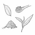 vector set of icons on a tea theme in doodle style Royalty Free Stock Photo