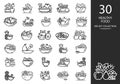 Vector set of icons on the theme of healthy food Royalty Free Stock Photo