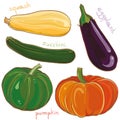 Vector set with illustration of eggplant, pumpkin, squash and zucchini Royalty Free Stock Photo