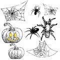 Vector set illustration of halloween pumpkin spider spiderweb Royalty Free Stock Photo