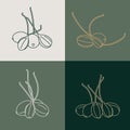 Vector set illustration pickled capers - simple linear style. Caperberries icons. Royalty Free Stock Photo