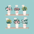 Vector set illustrations of beautiful flowers bouquet. Different flowers bunches with tulips, peonies, chamomiles and with