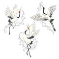 Vector set of illustrations bird crane. White stork