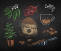 Vector set of illustrations of coffee beans