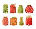Vector set of illustrations of jars with pickles. Preparations for the winter Royalty Free Stock Photo