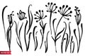 Vector set of ink drawing herbs, flowers, monochrome artistic botanical illustration, isolated floral elements, hand drawn