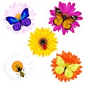 Vector Set Of Insects On Daisies Royalty Free Stock Photo