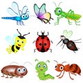 Vector Set of Insects.