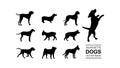 vector set of isolated dog silhouette Royalty Free Stock Photo