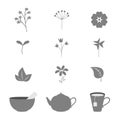 Vector set of isolated icons with different herbs and objects in flat style.