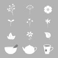 Vector set of isolated icons with different herbs and objects in flat style.