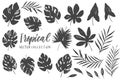 Vector set with isolated textured hand drawn leaves on white background Royalty Free Stock Photo