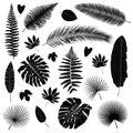 Vector set of isolated tropical leaves silhouettes in black color on white background. Royalty Free Stock Photo