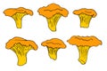 Vector set of isolated yellow elements of edible chanterelle mushrooms with a black outline on a white background. hand-drawn Royalty Free Stock Photo