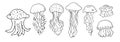 Vector set of jellyfish. hand-drawn jellyfish in a sketch style of different shapes with long and short tentacles with a pattern