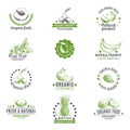 Vector set of labels, logos and hand drawn design Royalty Free Stock Photo