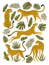 Vector set of leopards or cheetahs and tropical leaves.