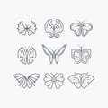 Vector set of line empty butterflies.