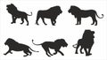 Vector set of lion silhouettes. Shadows of predatory mammals of African savannah. Royalty Free Stock Photo